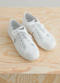 Cotton Canvas Sneakers*AIM’N New