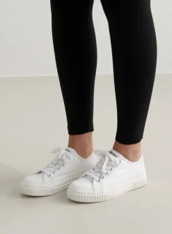 Cotton Canvas Sneakers*AIM’N New